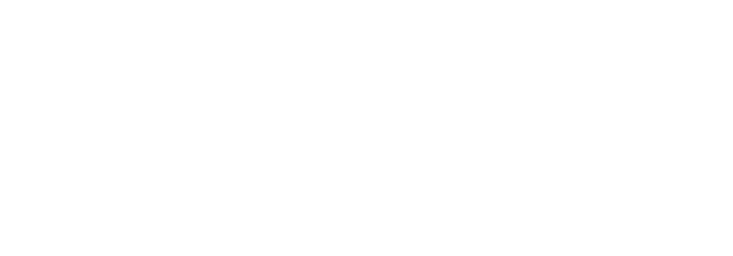 light logo
